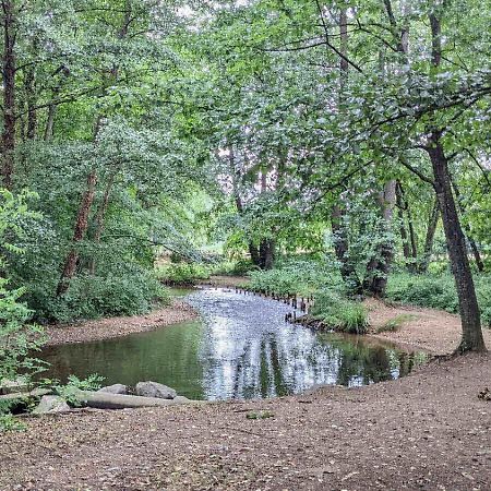 Maison Au Calme, 6 Voyageurs Riorges Esterno foto