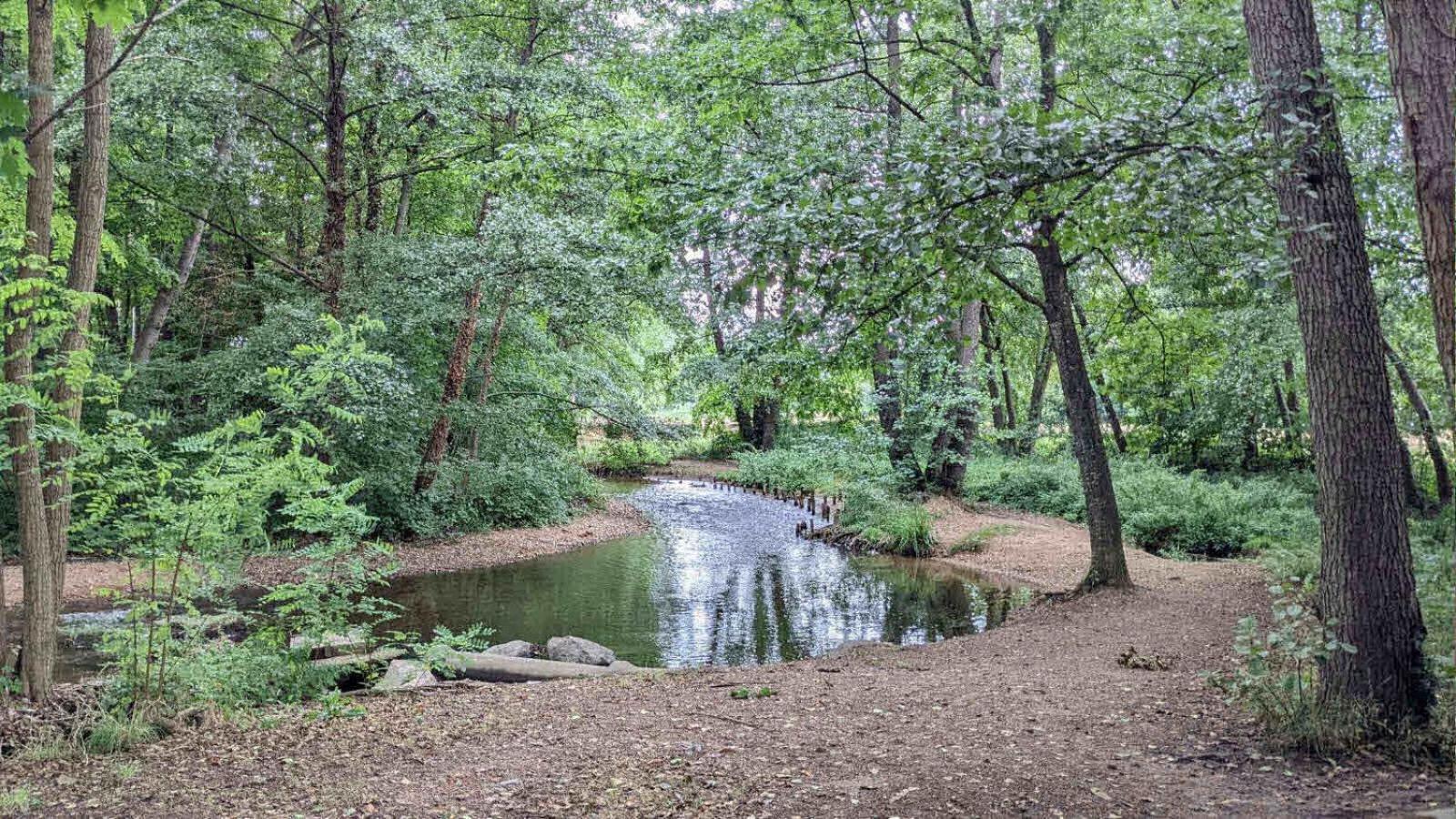 Maison Au Calme, 6 Voyageurs Riorges Esterno foto